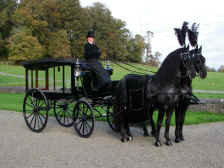 Click to select service.

Horse Drawn Funerals

Marston Hearse & Friesian Stallions, Ben & Sam