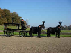 Click to view larger picture.

Four in Hand Team at Dinefwr