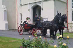 Click to view larger picture.

Bride & Groom arrive at the reception